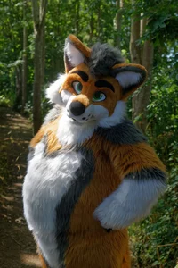 Cormack wolf Fursuit