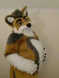 Cormack wolf Fursuit
