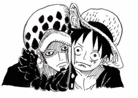 Law e luffy