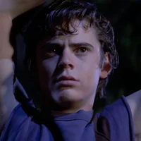 Ponyboy Curtis 