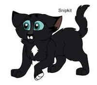 Snipkit 