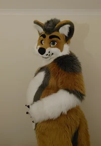 Cormack wolf Fursuit