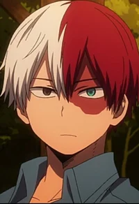 Shoto Todoroki