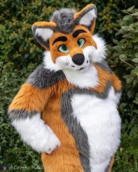 Cormack wolf Fursuit