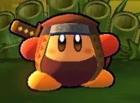 Ninja Bandana Dee