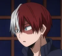 -Shoto Todoroki-