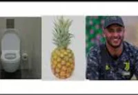 ToiletAnananasNadas