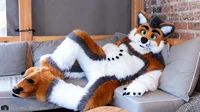 Cormack wolf Fursuit