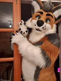 Cormack wolf Fursuit