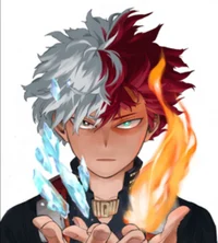 Shoto Todoroki 