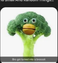 Information about me