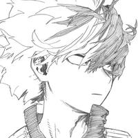 Shoto Todoroki