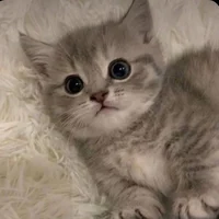 Protective boyfriend