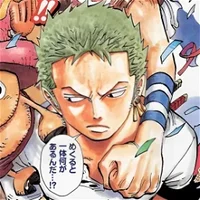 Drunk Zoro