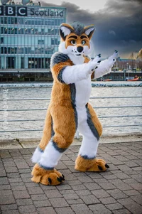 Cormack wolf Fursuit
