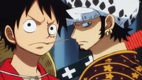 Luffy y Law