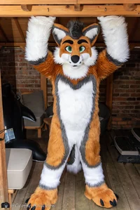 Cormack wolf Fursuit