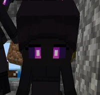 Enderwoman waifu