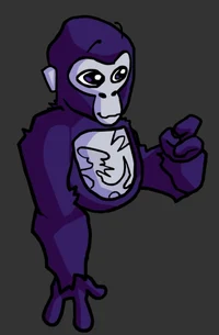 Gorilla