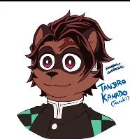 Tanjiro Kamado 