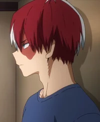 Shoto Todoroki