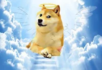 Meme heaven