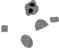 Jenkeris Phase 23432