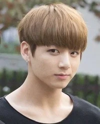 Jeon Jeongguk 