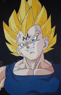 Vegeta Villan