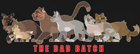The Bad Batch - Cats