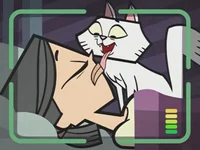 Bruiser-Heathers cat