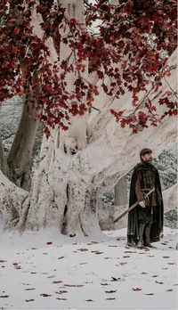 Chat with Game of Thrones | character.ai | Personalized AI for every ...