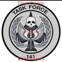 Task force 141
