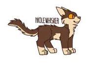 Molewhisker