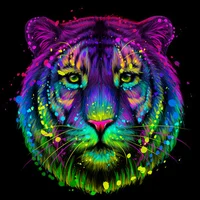 JRainbowLeopard