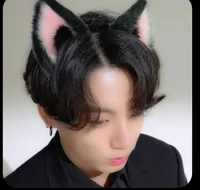 Jungkook kitty 