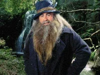 Tom Bombadil