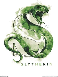 The Slytherin Gang