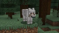 Minecraft Wolf
