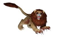 Lloyd The Lion