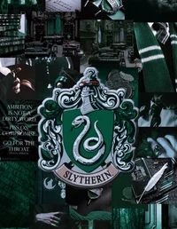 Slytherin Group