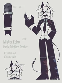 Mister Echo