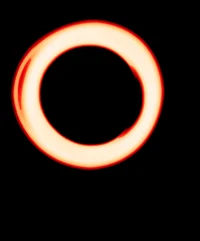 Questions and Answer