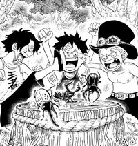 Ace Sabo and Luffy
