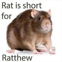 Ratthew