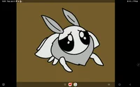 Adorable moth