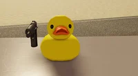 ducky