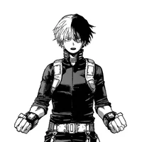 Shoto Todoroki