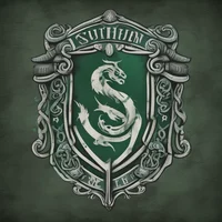The slytherins