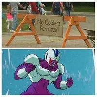 Cooler